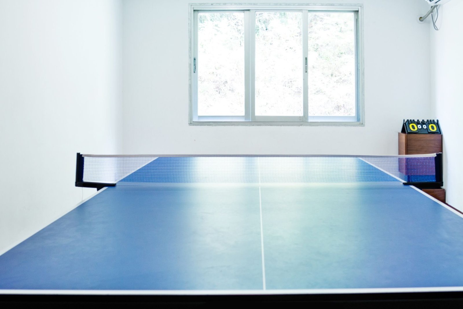 garage coversion Epson